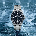 튜더 펠라고스(Tudor Pelagos)
