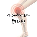 쑤시는 관절엔 '콘드로이친' 관절 건강 지키기!