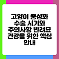 고양이 중성화 수술 시기와 주의사항 반려묘 건강을 위한 핵심 안내