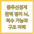 중추신경계 완벽 정리 뇌, 척수 기능과 구조 이해