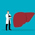 감기약 먹고 술 마시면 안되나요? 타이레놀, 아세트아미노펜, 간독성 관련 Q&A