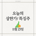 11월 25일 오늘의 상한가 희토류 이재명