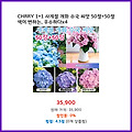 시즌 맞춤 CHRRY 1+1 사계절 개화 수국 씨앗 50정+50정 색이 변하는 우수하다x4 이 가격에 놓치면 후회