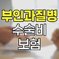 농협손해보험 부인과질병수술비, 여성 건강 보장의 새로운 지평