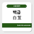 백급(白芨)