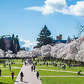 Best Colleges in Seattle for 2024-2025