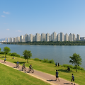 📘 전세시장 변화와 1~2인 가구 대응 전략