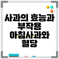 사과의 효능과 부작용 아침사과와 혈당
