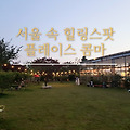 서울 카페인듯한 농원쉼터, 플레이스 콤마 방문후기
