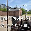 평범한 시민에서 역사 해설가로, 도슨트가 되는 길
