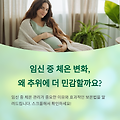 임신 중 체온 변화, 추위에 더 민감한 이유와 보온 관리법