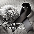 [정리] 무안공항 제주항공 2216편 활주로 이탈 사고, 참사 원인
