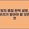 양자 중첩 완벽 설명, 우리가 알아야 할 모든 것
