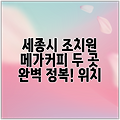 세종시 조치원 메가커피 두 곳 완벽 정복! 위치