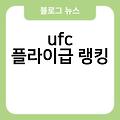 ufc 랭킹 ufc플라이급랭킹 ufc299 ufc순위 ufc웰터급