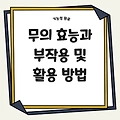 무의 효능과 부작용 및 활용 방법을 통한 건강 관리