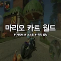 마리오 카트 월드 코스튬 획득 방법 및 종류 정리