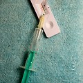 [난임꿀팁] 인공수정 시험관 차이 완전정리 (+시험관 바로 시작해도 되는 이유, 직접 겪어본 팁)