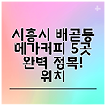 시흥시 배곧동 메가커피 5곳 완벽 정복! 위치