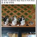 [windowsAPI] 12주차,  Thread사용하기