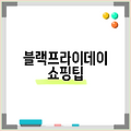 블랙프라이데이 쇼핑팁