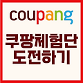 쿠팡체험단 도전하기