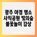 광주 야경 명소, 사직공원 빛의숲에서 낭만 가득한 불꽃놀이 감상하기