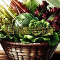 싱싱한 양상추 고르는 방법 잎의 두께와 색감 확인법