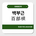 백부근(百部根)