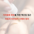 가려움증 완화를 위한 혁신적 접근: 아토피 피부염의 이해와 관리