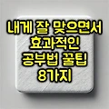 내게 잘 맞으면서 효과적인 공부법 꿀팁 8가지