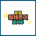 봄철 꽃가루 알레르기 증상과 예방법 총정리｜꽃가루농도위험지수 확인법까지