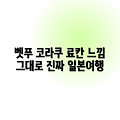 벳푸 호텔 코라쿠, 료칸 분위기 그대로?