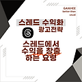 스레드 수익화  광고 전략  스레드에서 수익을 창출하는 요령
