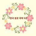 🌸 2025년 3월, 꼭 가봐야 할 한국 봄꽃 축제 5선 🌸