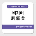 비기허(脾氣虛)