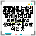 충청남도 논산시 연산면 휴일 병원 찾기|야간진료 병원|공휴일 문여는 곳 |주말 여는 곳