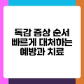 독감 증상 순서 빠르게 대처하는 예방과 치료