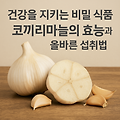 건강을 지키는 비밀 식품, 코끼리마늘의 효능과 올바른 섭취법