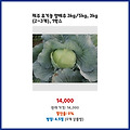 현명한 선택 제주 유기농 양배추 3kg/5kg 3kg 1박스 역대급 할인 상품