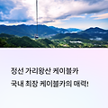 정선 케이블카 할인 팁! 가리왕산 여행의 모든 것