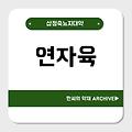 연자육(蓮子肉)