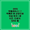 SNS 핫플레이스! ✨  독특한 꽃 모양으로  인싸 등극 | 꽃 사진, 인생샷, SNS 팁