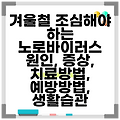 겨울철 조심해야 하는 노로바이러스 원인, 증상, 치료방법, 예방방법, 생활습관