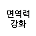 면역력 강화 식품과 중요성에 대하여 현대인의 면역 필수 가이드