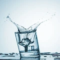 하루 2L의 물, 당신의 건강을 바꿀 수 있는 비밀!