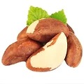 브라질너트(Brazil nut) 갑상선 건강을 위한 필수 선택!