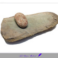 article_rep_thumbnail_raw_url