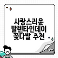 사랑스러운 발렌타인데이 꽃다발 추천