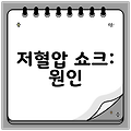 저혈압 쇼크: 원인